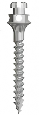 Ортодонтические имплантаты SD-Mini-Ortho CH D-1.4mm, L-10mm