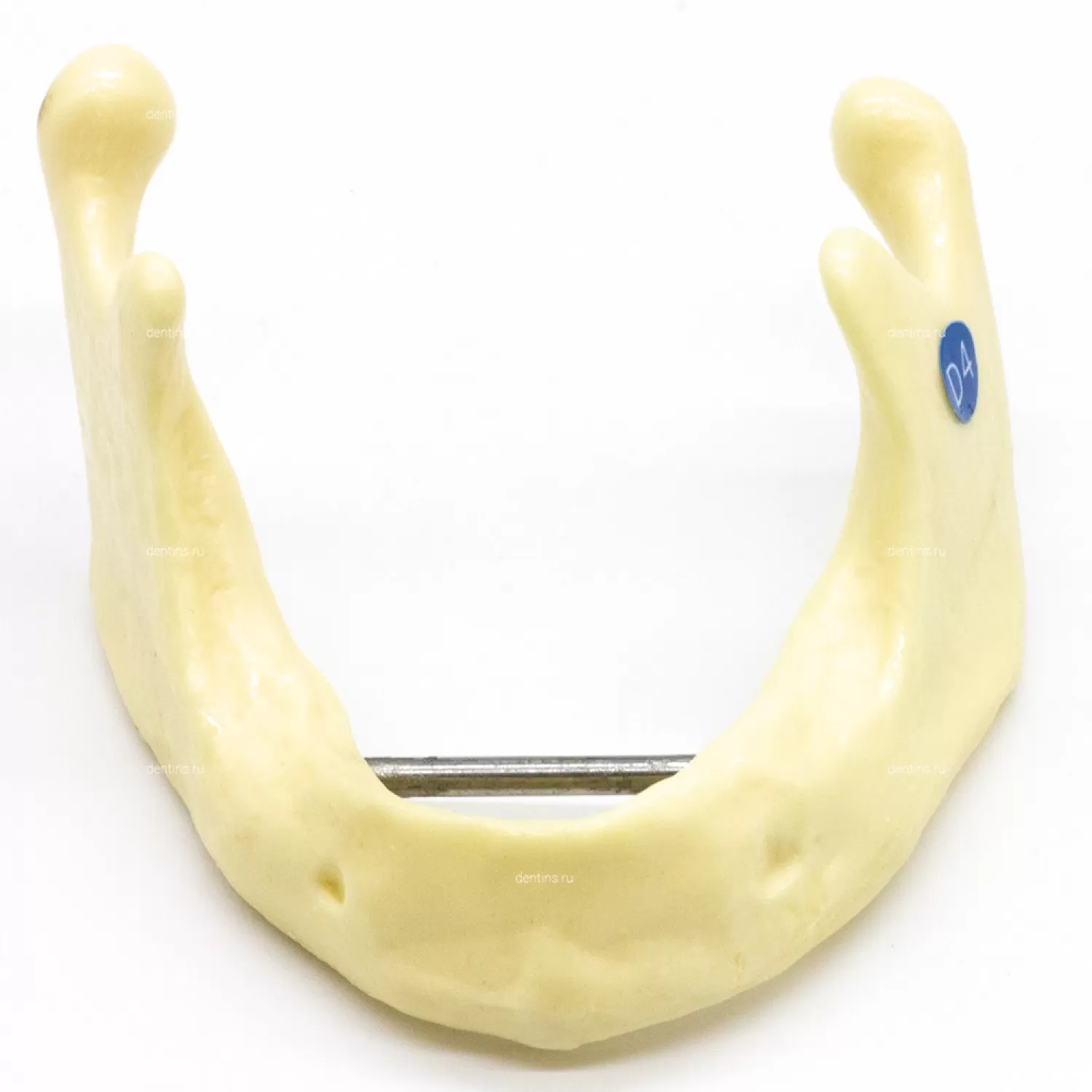 Учебная модель для имплантации, расщепления костного гребня, нижняя челюсть
